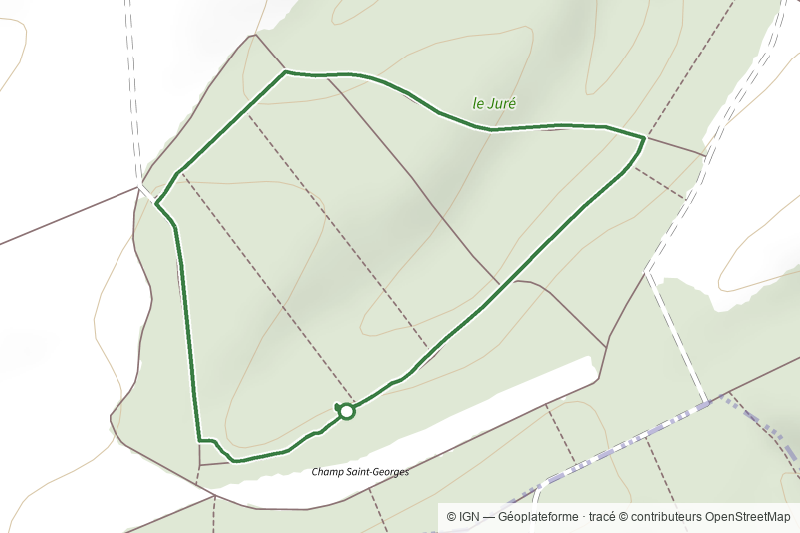 Court circuit