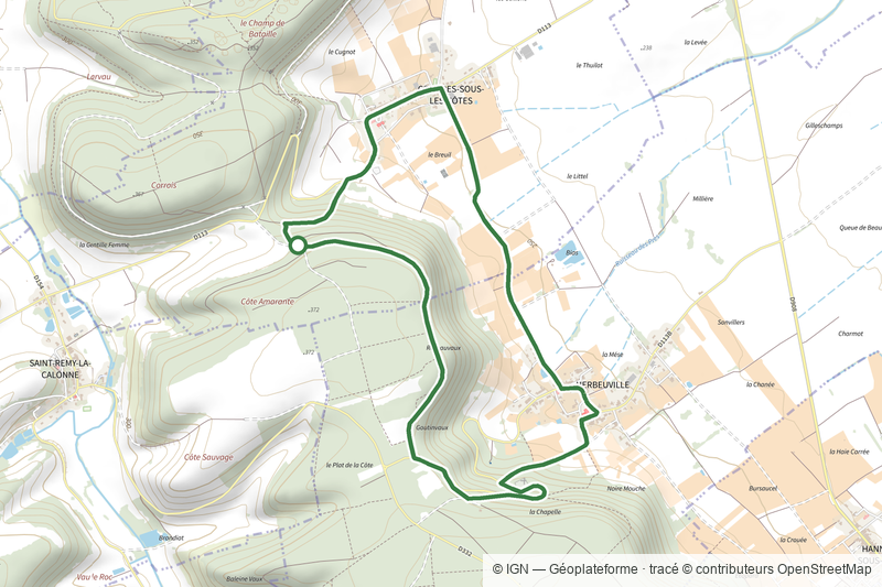 De la forêt à la vigne