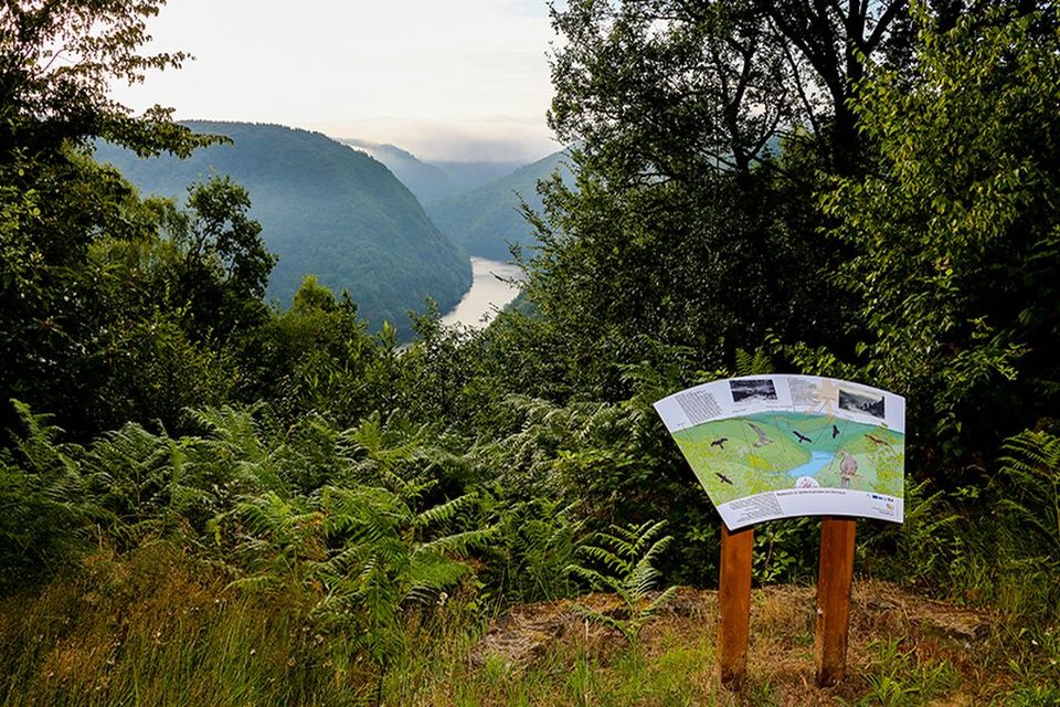 Les gorges de la Dordogne