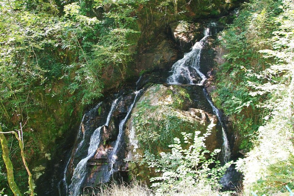 Les Agaries