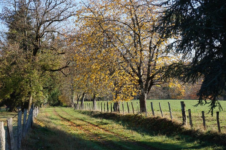 A l'entrée du village du Theil