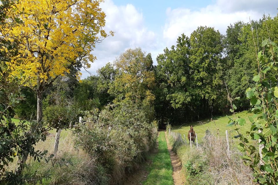 Circuit du P.O.C au dolmen