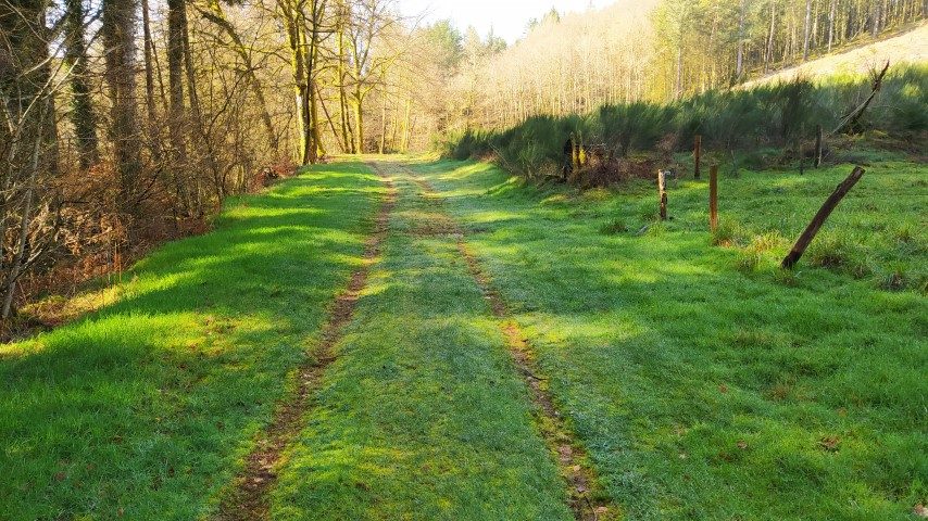 Sentier