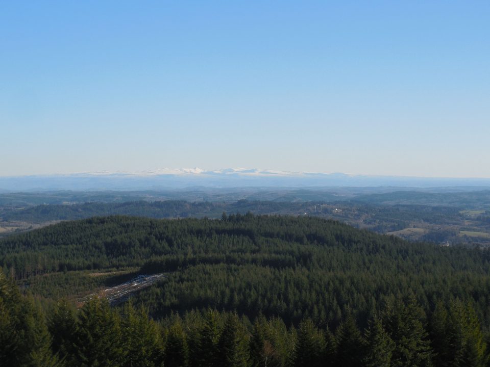 Vue du Mont Bessou