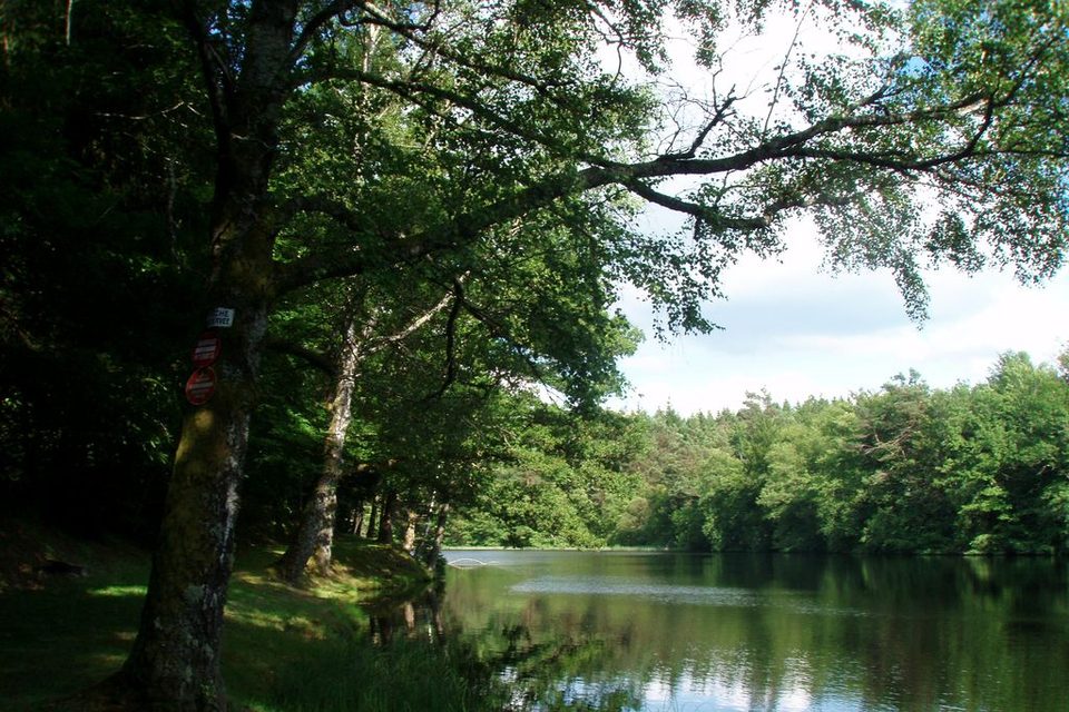 Le Bois de Tempêtier