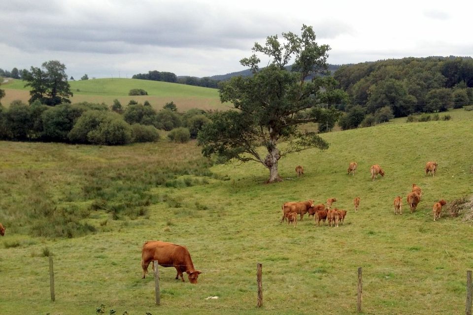 Les Vestiges Gallo-Romains des Mazières