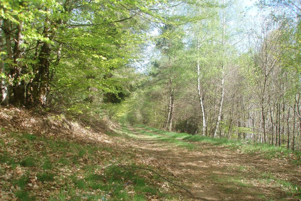 Saint-Setiers - Piste jaune