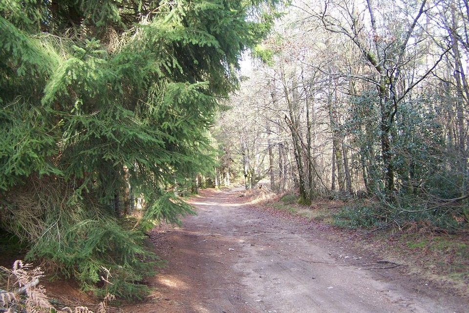 Saint-Setiers - Piste Verte