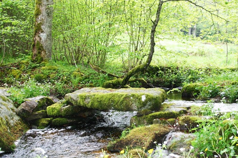 Le chemin de l'eau