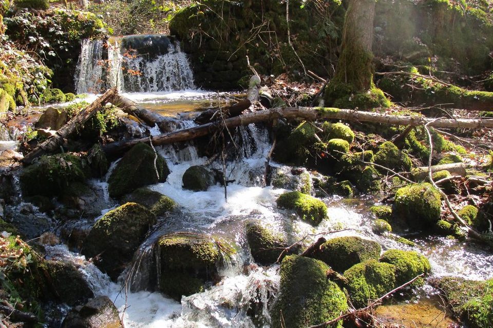 Le Ruisseau des Moulins