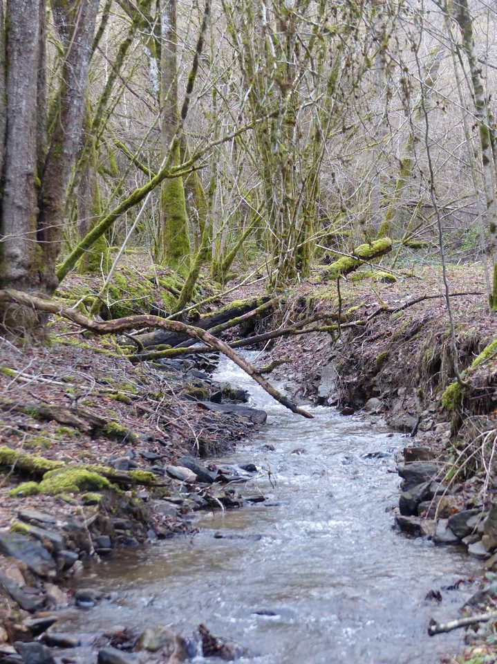 Ruisseau de Saint-Hilaire