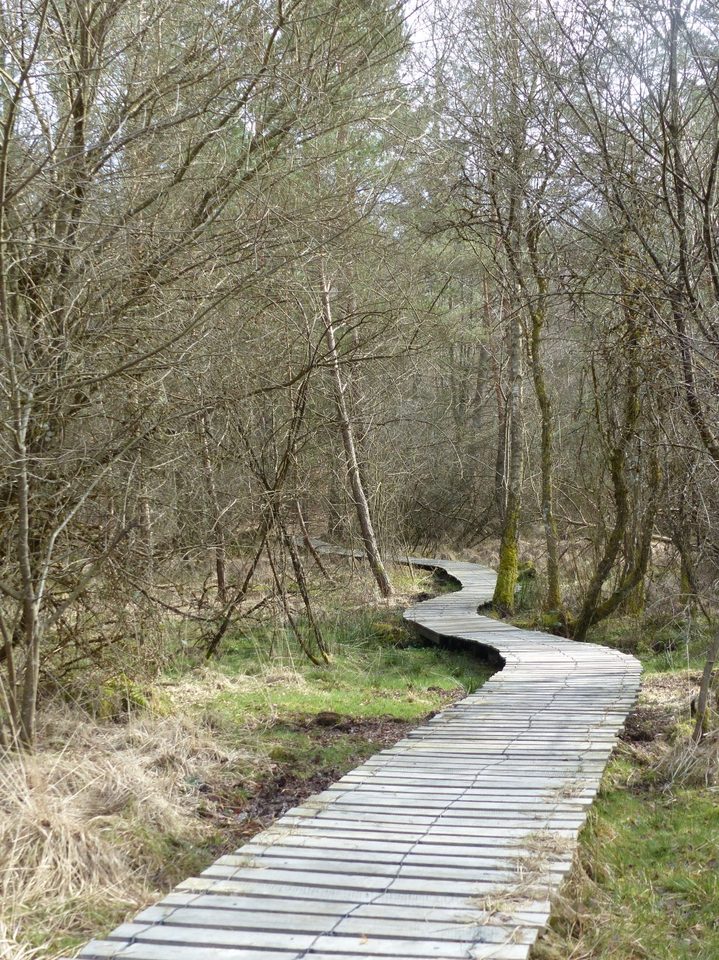 Caillebotis zone humide