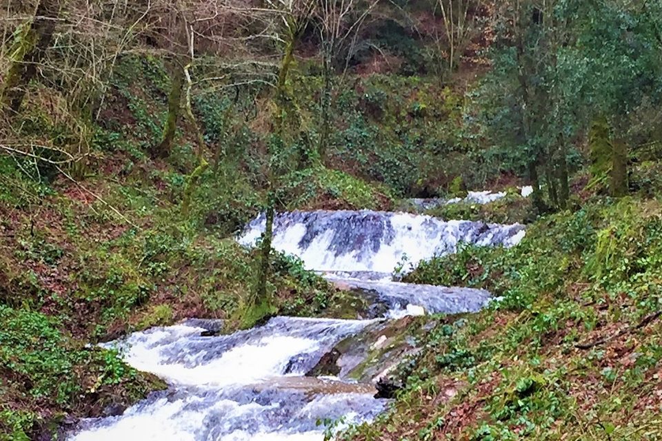 Les Cascades du Chalard