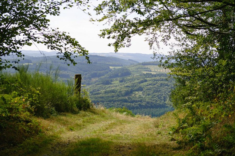 Le Mont-Ceix - Chamberet © B.Charles - Office de tourisme terres de corrèze (2)_1