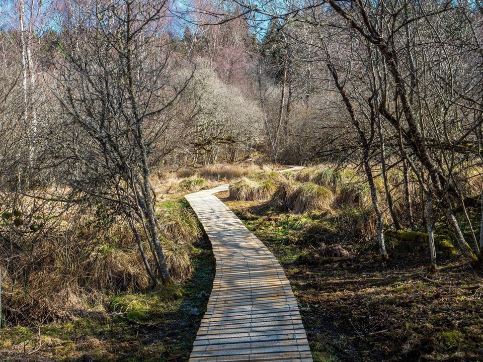 Sentier des sources de la Creuse
