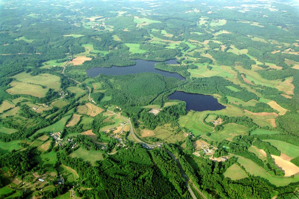 Géant Vert