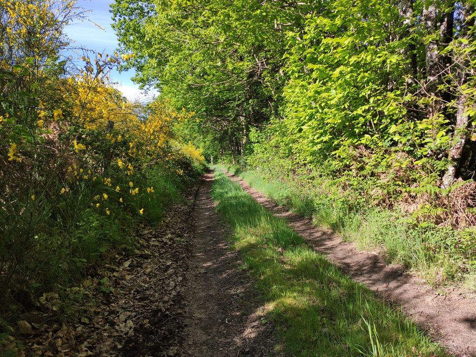 Chemin du Puy la Vergne