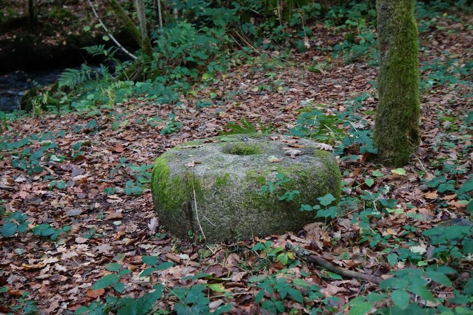 Boucle du Parleur
