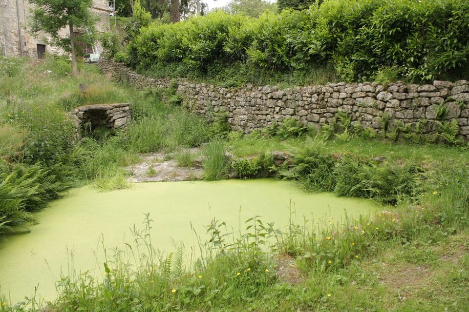 Découverte du Patrimoine de Saint-Amand-le-Petit