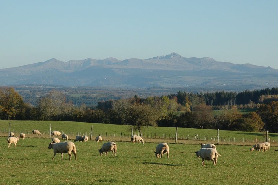 De Feyt à Monestier