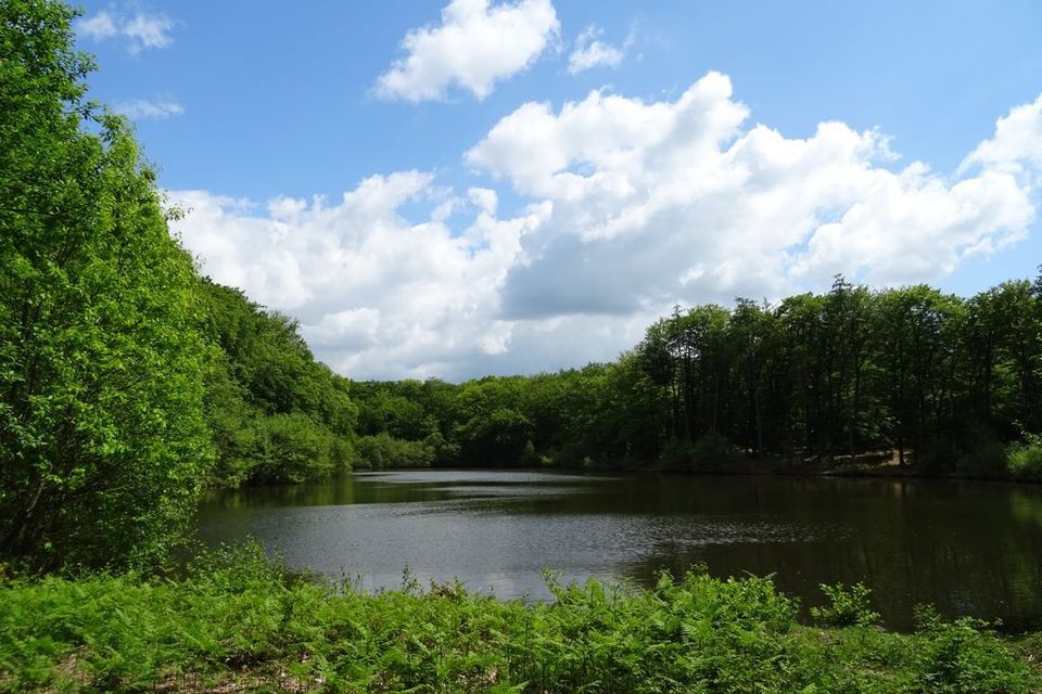 Sentier de l’étang des Landes