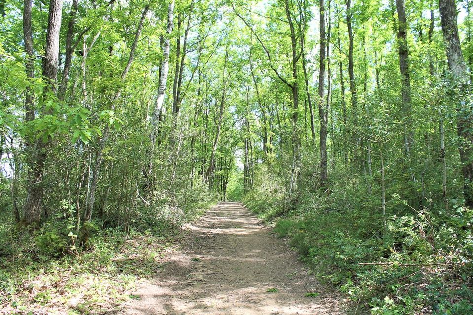 Sentier des Blaireaux