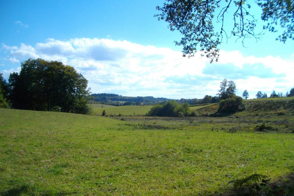 Au fil de la Sarsonne