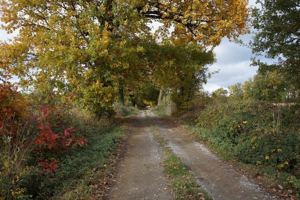 Sentier du Menhir