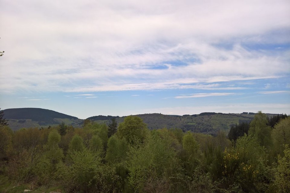 Panorama