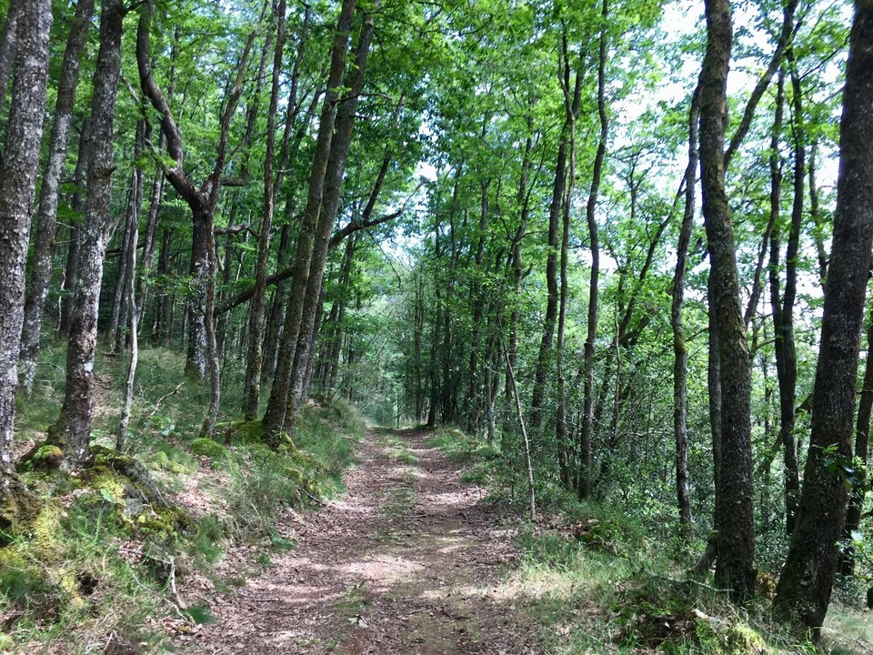 Sur le chemin ...