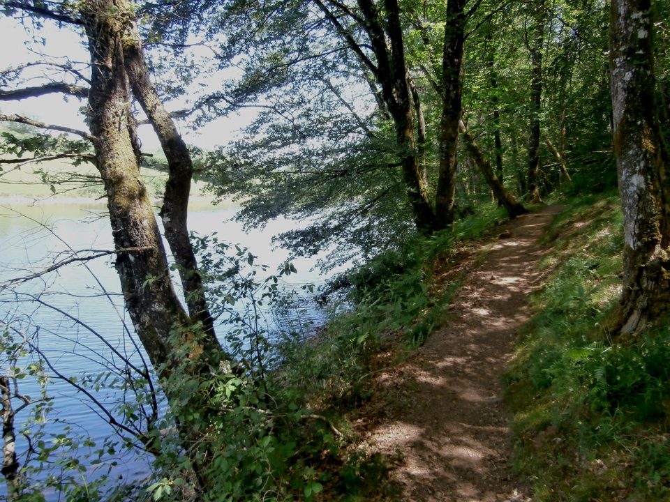 En chemin au bord de la Maulde