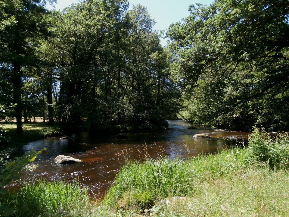 La vienne à Nedde