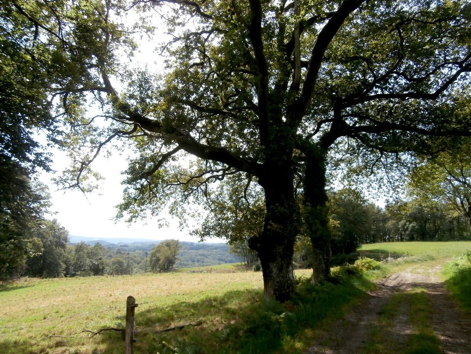 En chemin...