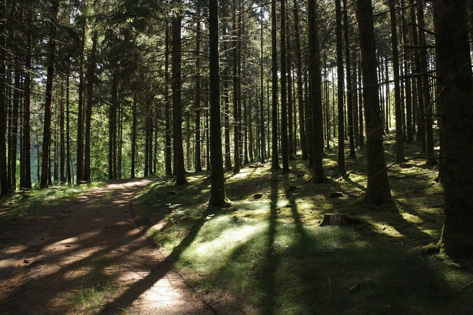 Circuit des Grammonts