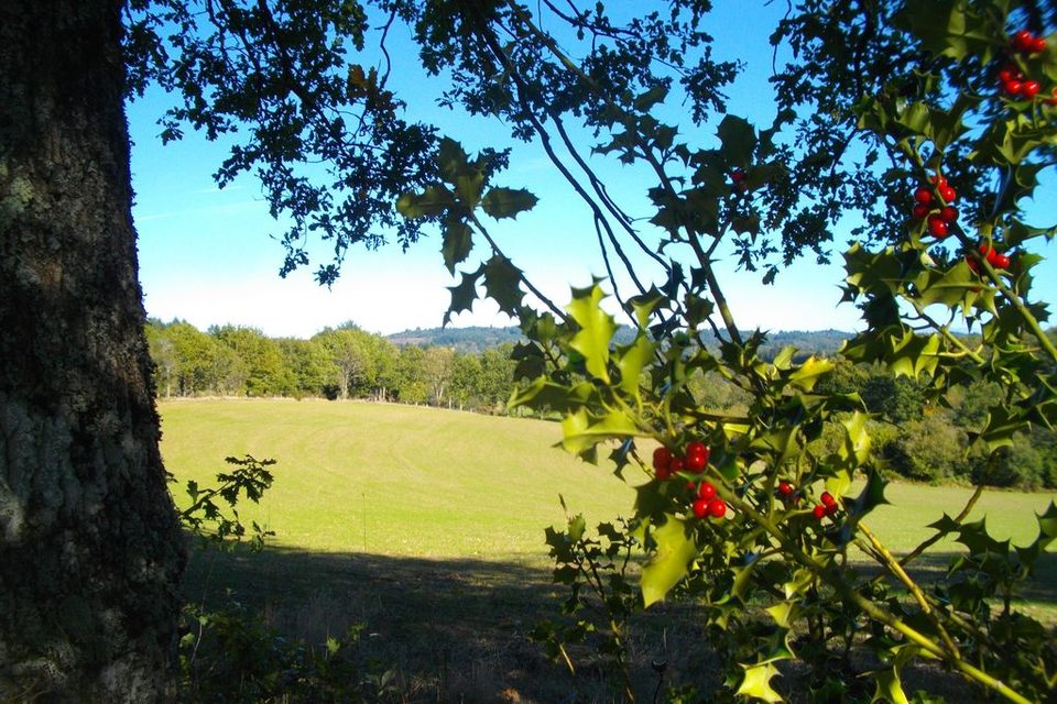 Maussac - Au Charbon - vue générale - crédit photo G Salat_1