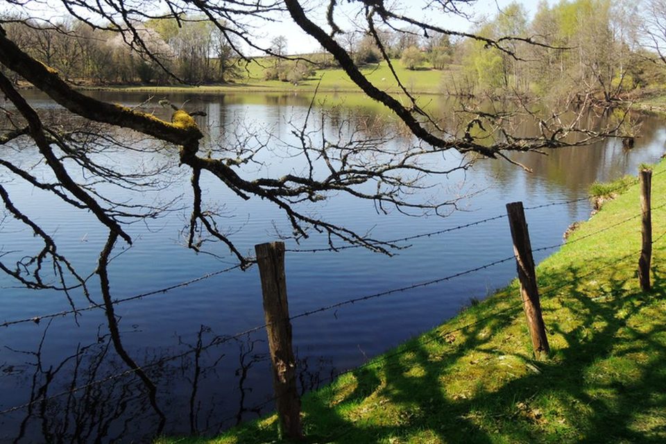 Etang de Ciboit