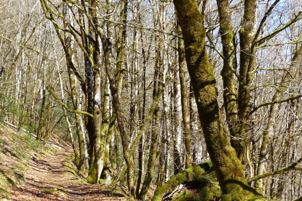 Sentier du Lieuteret