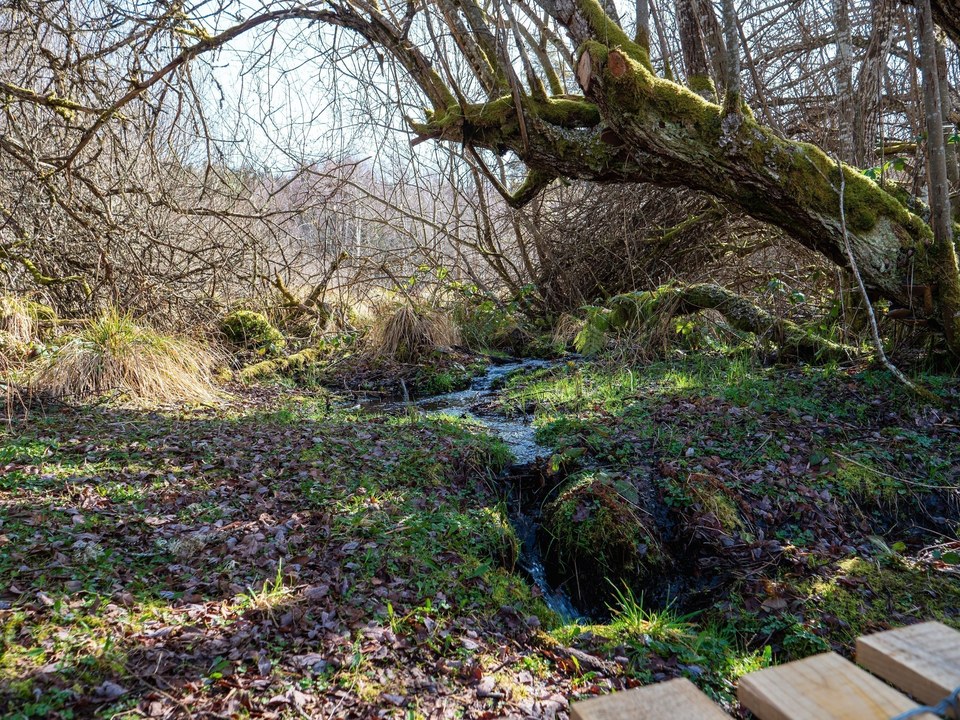 Source de la Creuse