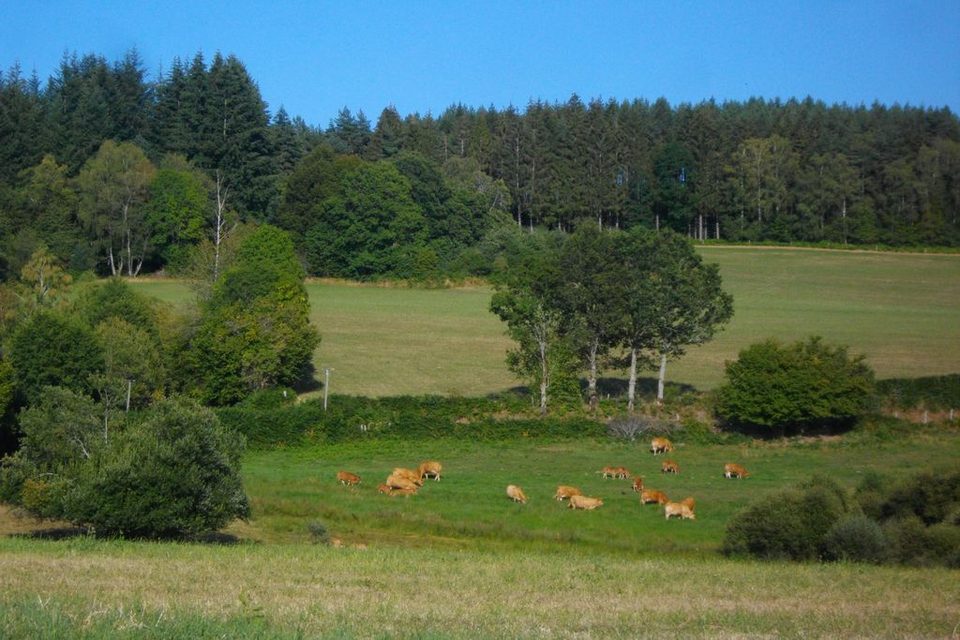 Vue_générale_st_Frejoux_Gsalat_1