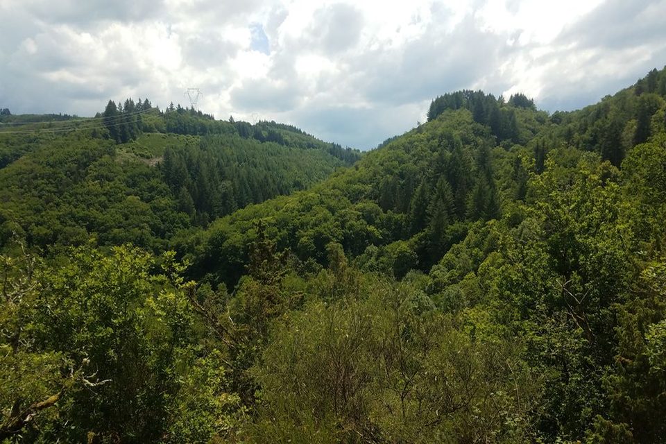 Photo d'appel 2 ©PAH Monts et Barrages_Estelle Gilles_1