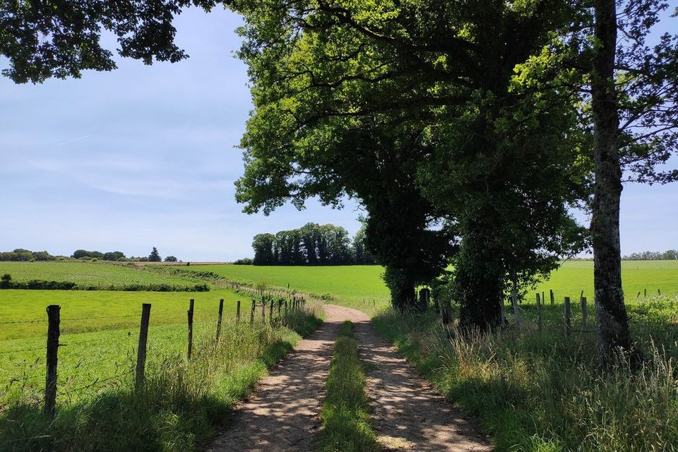 Sur le chemin du Puy la Brousse