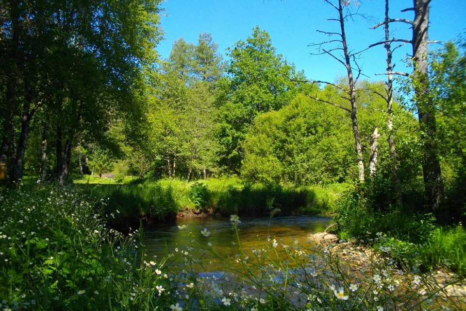2020_06_facteur_gorsse_01_entours_1