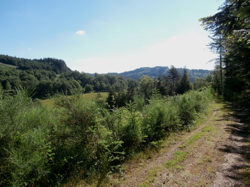 Vue sur les monts du Limousin