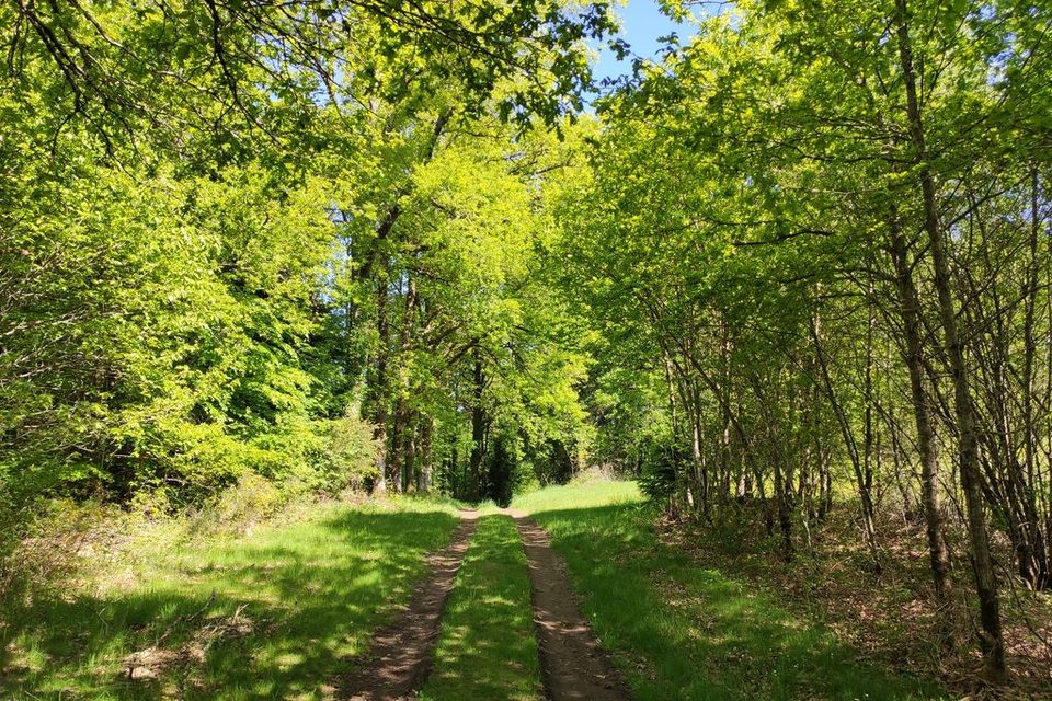 Photo d'appel 2 - Chemin du Puy Vieux - Pays Monts et Barrages - Aurélien Clavreul (12)_1
