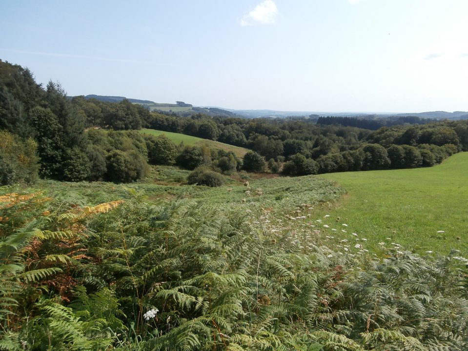 Vue sur la montagne Limousine