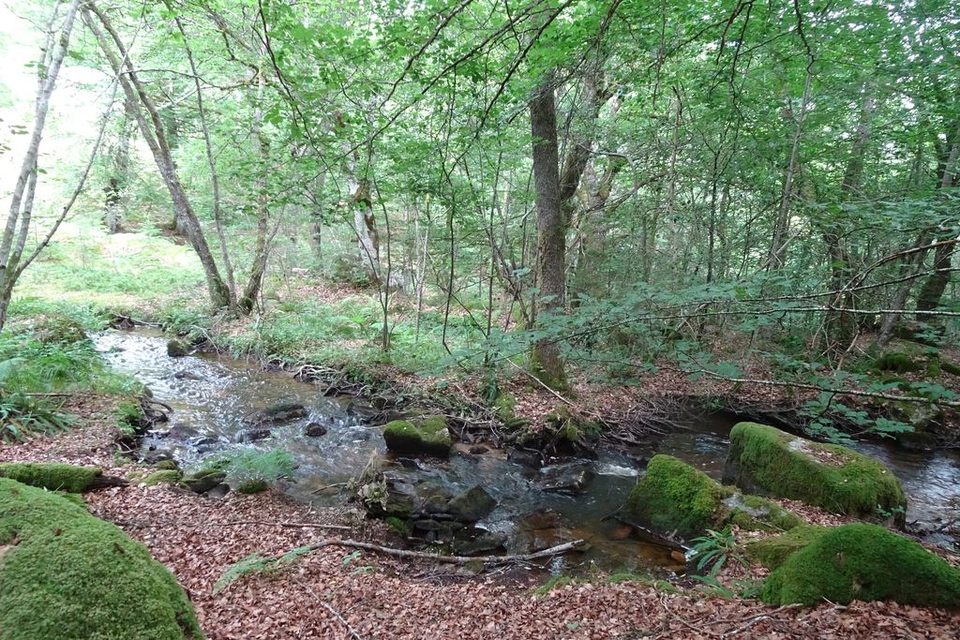 DSC02267_1