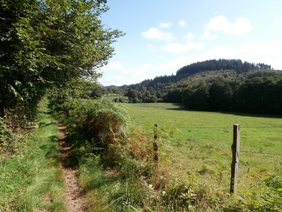 Vue sur Grand Puy