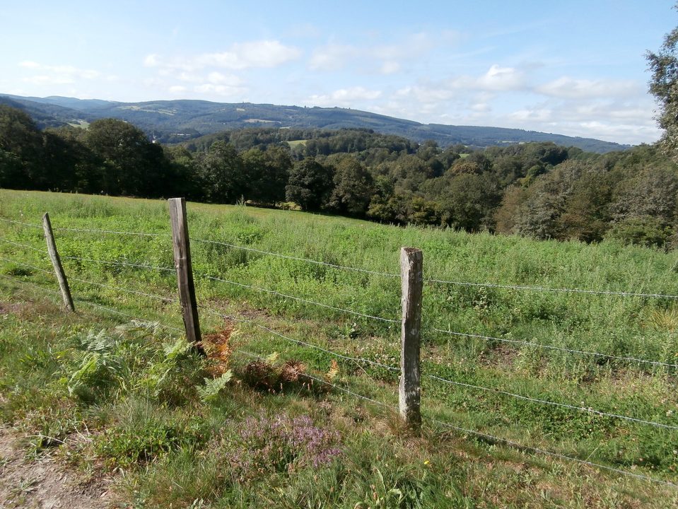 Vue sur les puys autour d'Eymoutiers