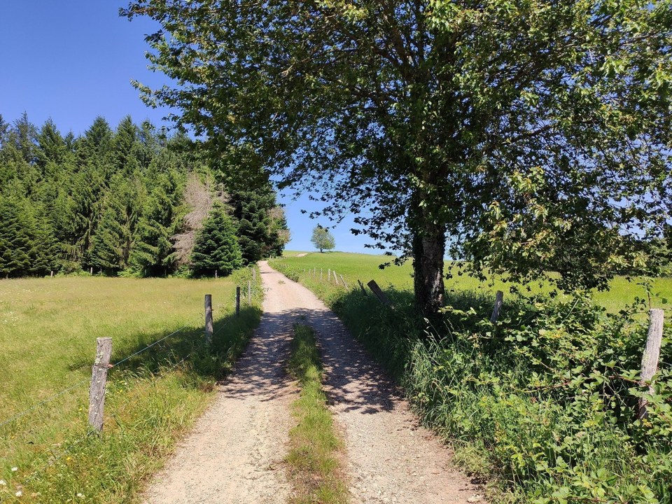 Sur le chemin du Léry