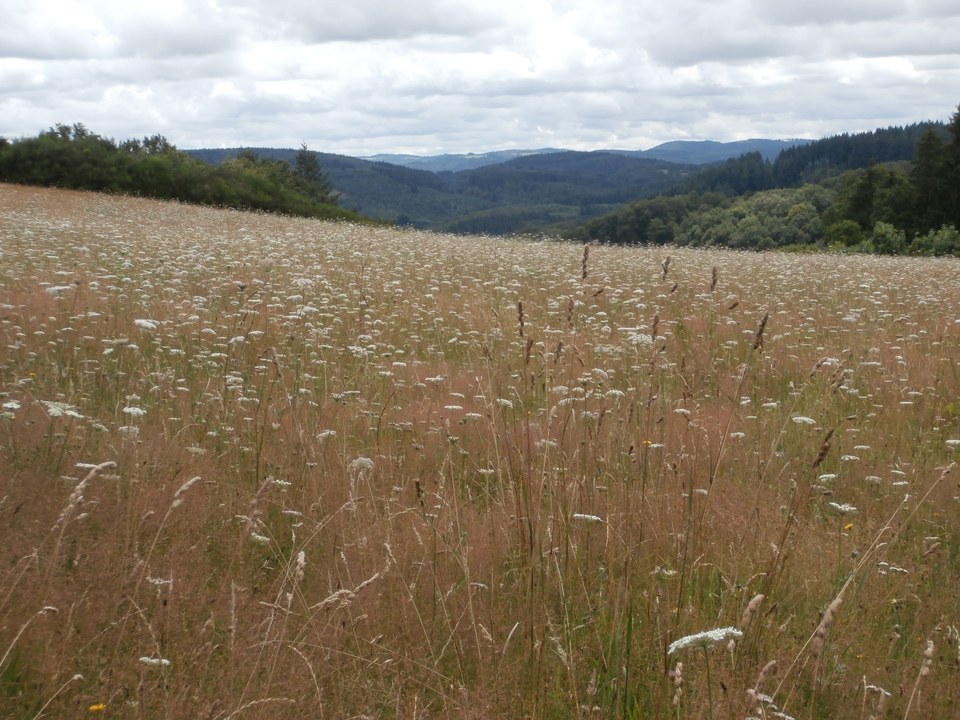 Vue sur les Monts du Limousin